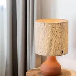 Casa Santini X Roc Seven