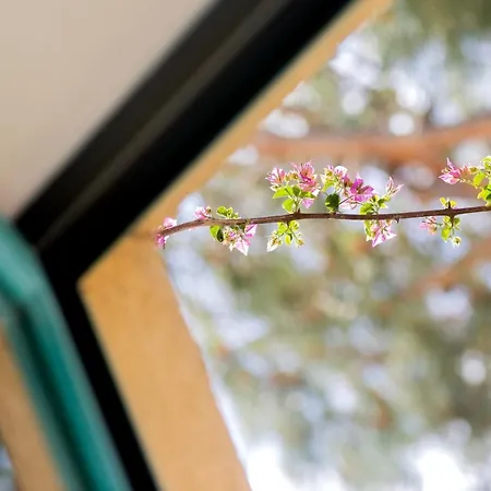 Hotel Casa Santini X Roc Seven 4*