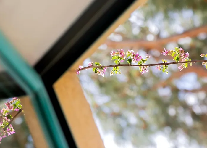 Hotel Casa Santini X Roc Seven 4*