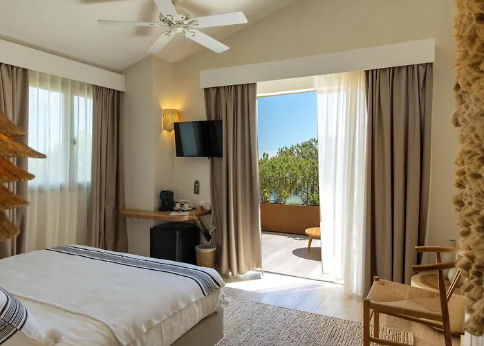 Casa Santini X Roc Seven